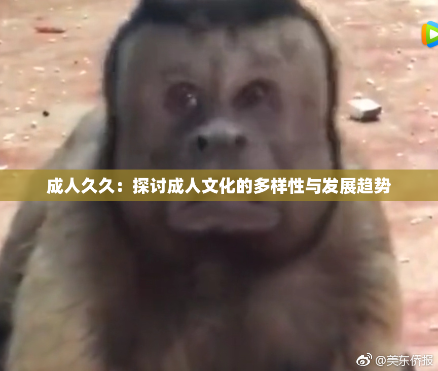 成人久久：探讨成人文化的多样性与发展趋势