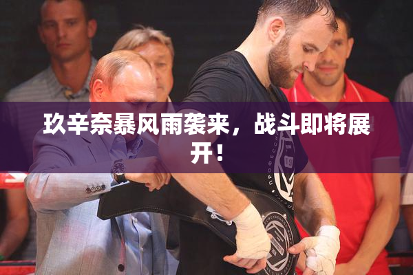 玖辛奈暴风雨袭来，战斗即将展开！