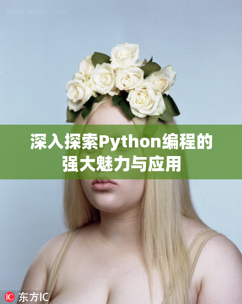 深入探索Python编程的强大魅力与应用