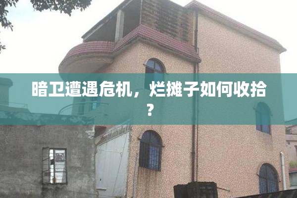 暗卫遭遇危机，烂摊子如何收拾？