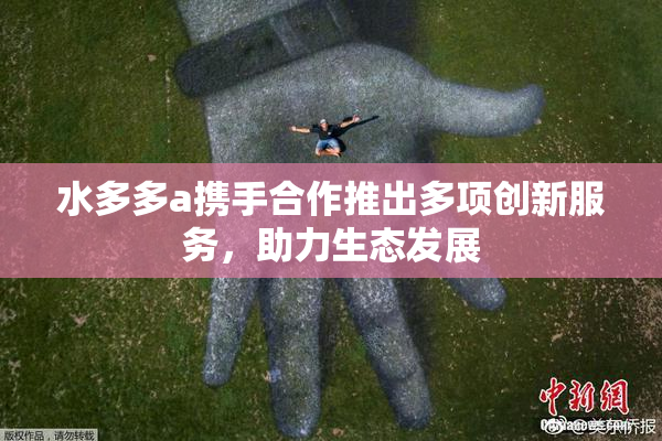 水多多a携手合作推出多项创新服务，助力生态发展