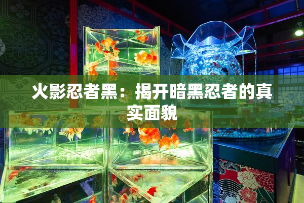 火影忍者黑：揭开暗黑忍者的真实面貌