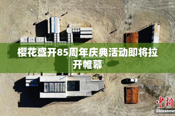樱花盛开85周年庆典活动即将拉开帷幕