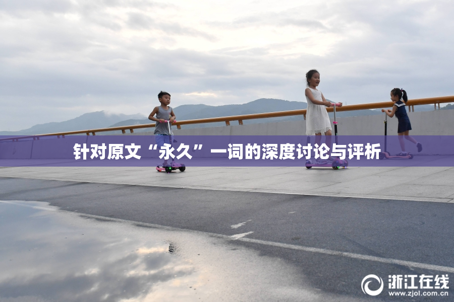针对原文“永久”一词的深度讨论与评析