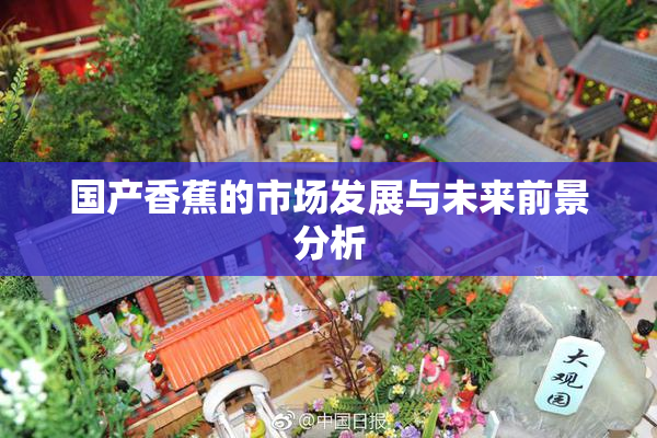 国产香蕉的市场发展与未来前景分析