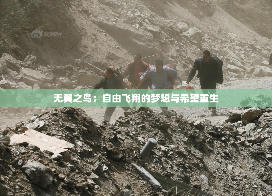 无翼之鸟：自由飞翔的梦想与希望重生