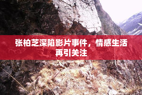 张柏芝深陷影片事件，情感生活再引关注