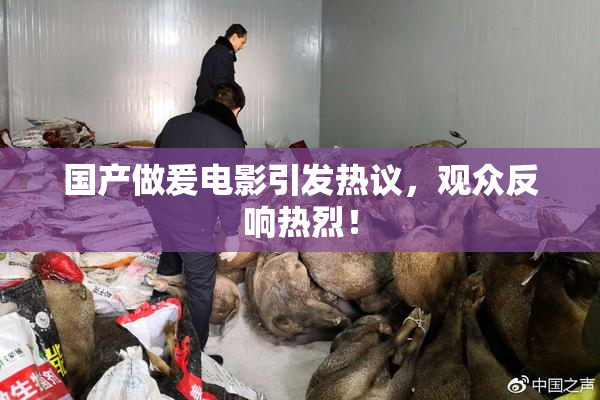 国产做爰电影引发热议，观众反响热烈！