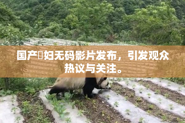 国产婬妇无码影片发布，引发观众热议与关注。