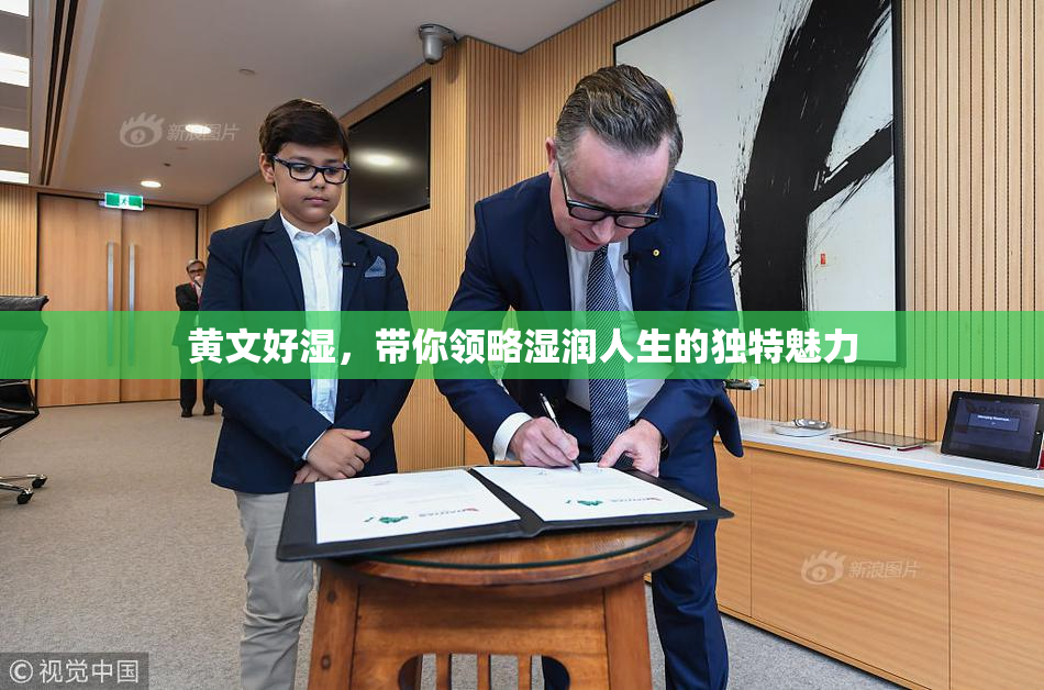 黄文好湿，带你领略湿润人生的独特魅力