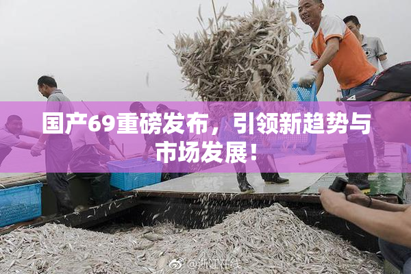 国产69重磅发布，引领新趋势与市场发展！
