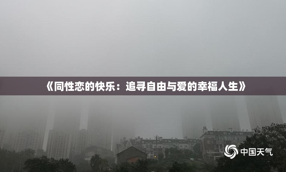 《同性恋的快乐：追寻自由与爱的幸福人生》