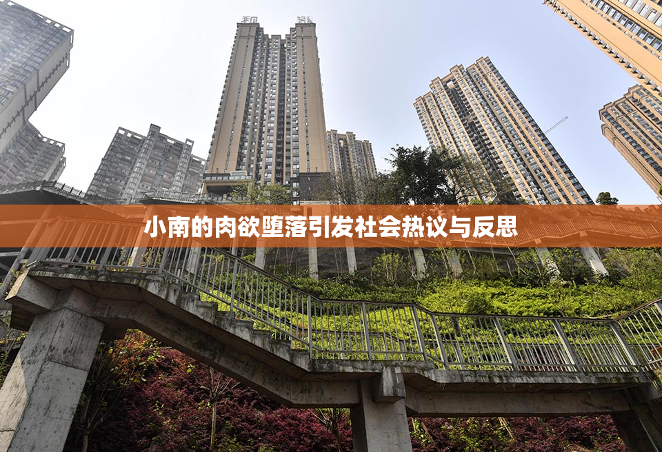 小南的肉欲堕落引发社会热议与反思