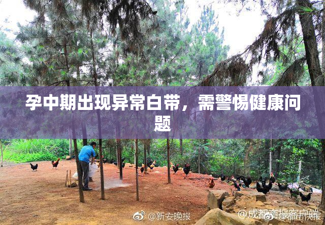 孕中期出现异常白带，需警惕健康问题