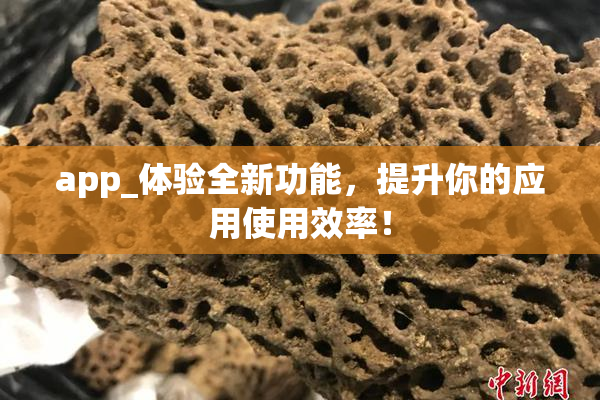 app_体验全新功能，提升你的应用使用效率！