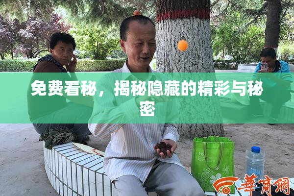 免费看秘，揭秘隐藏的精彩与秘密