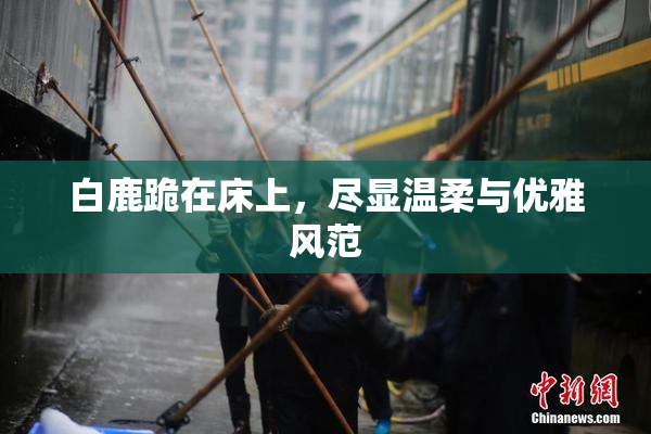 白鹿跪在床上，尽显温柔与优雅风范