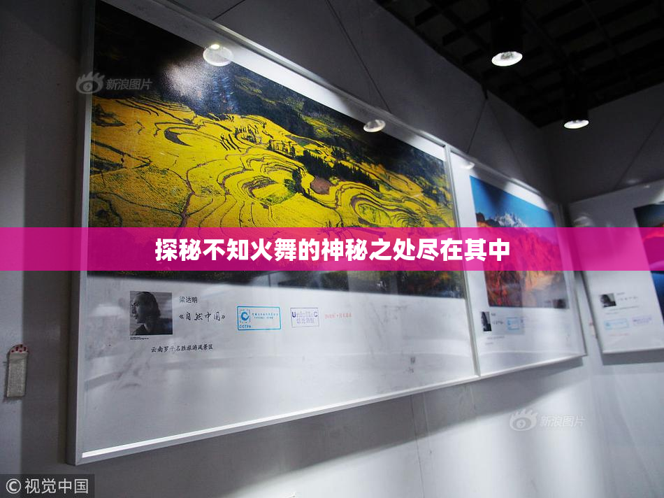 探秘不知火舞的神秘之处尽在其中