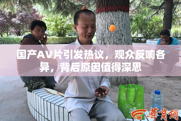 国产AV片引发热议，观众反响各异，背后原因值得深思