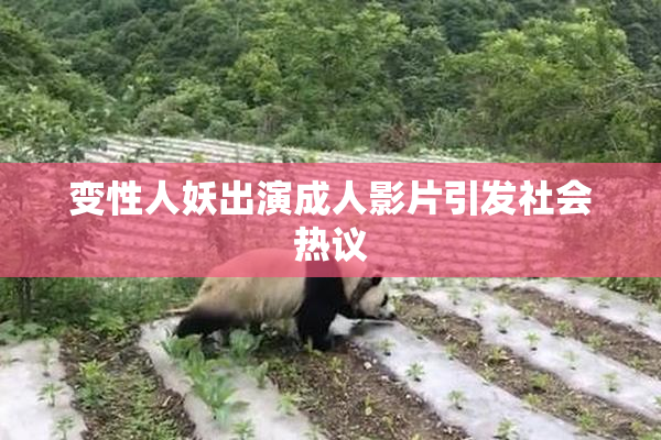 变性人妖出演成人影片引发社会热议