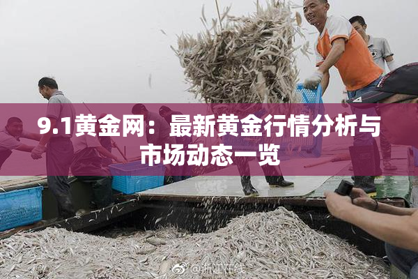 9.1黄金网：最新黄金行情分析与市场动态一览