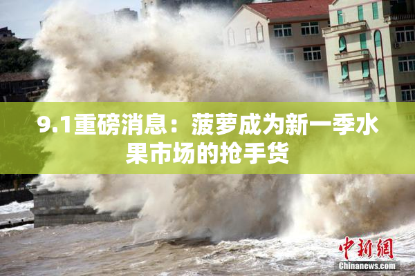 9.1重磅消息：菠萝成为新一季水果市场的抢手货