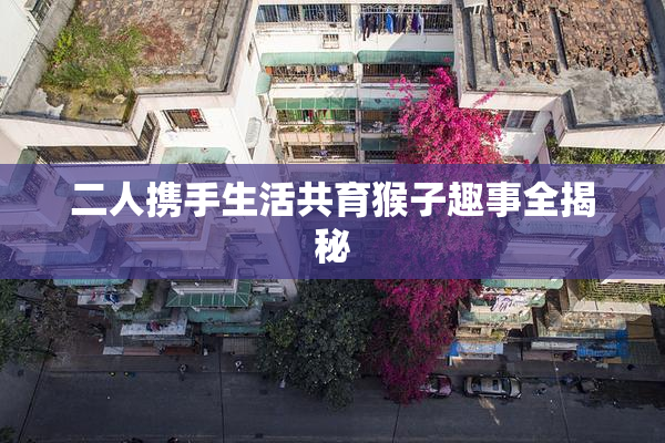 二人携手生活共育猴子趣事全揭秘