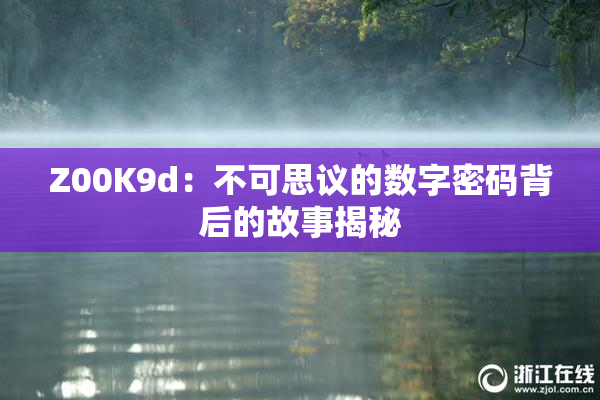 Z00K9d：不可思议的数字密码背后的故事揭秘