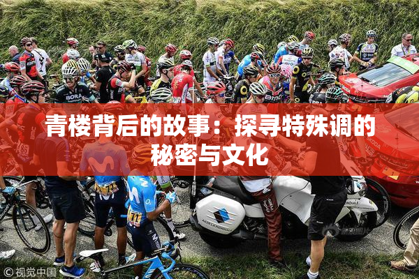 青楼背后的故事：探寻特殊调的秘密与文化
