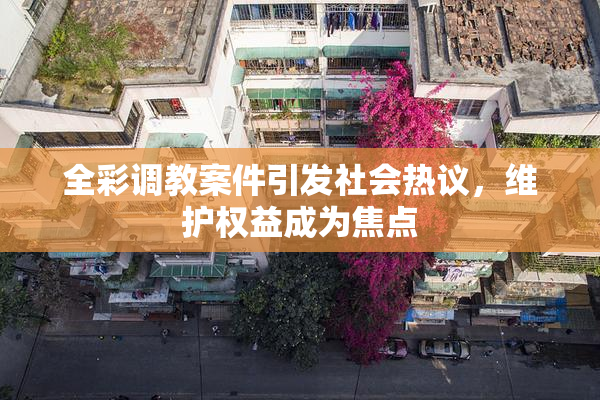 全彩调教案件引发社会热议，维护权益成为焦点