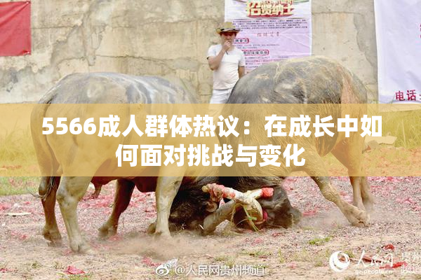 5566成人群体热议：在成长中如何面对挑战与变化