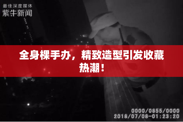 全身棵手办，精致造型引发收藏热潮！