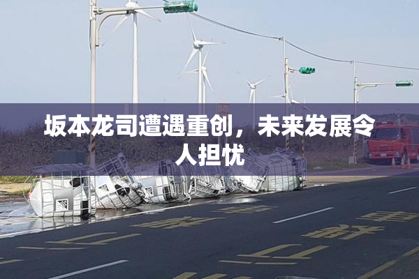 坂本龙司遭遇重创，未来发展令人担忧