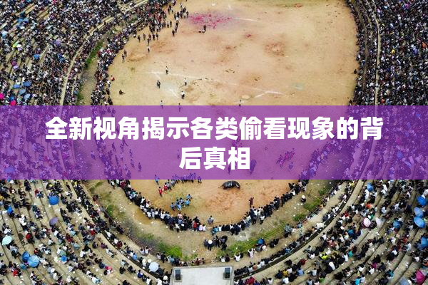全新视角揭示各类偷看现象的背后真相