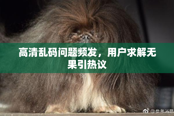 高清乱码问题频发，用户求解无果引热议
