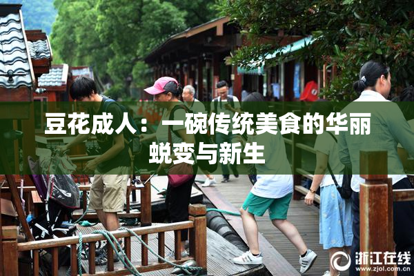 豆花成人：一碗传统美食的华丽蜕变与新生