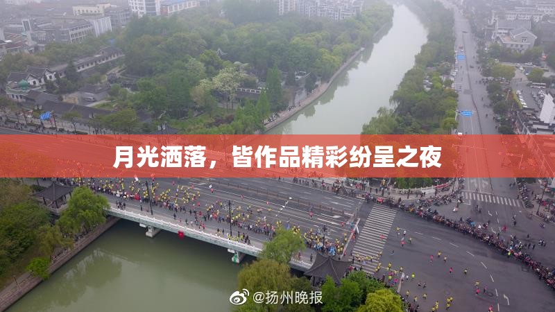 月光洒落，皆作品精彩纷呈之夜