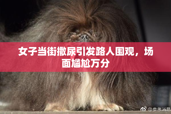 女子当街撒尿引发路人围观，场面尴尬万分