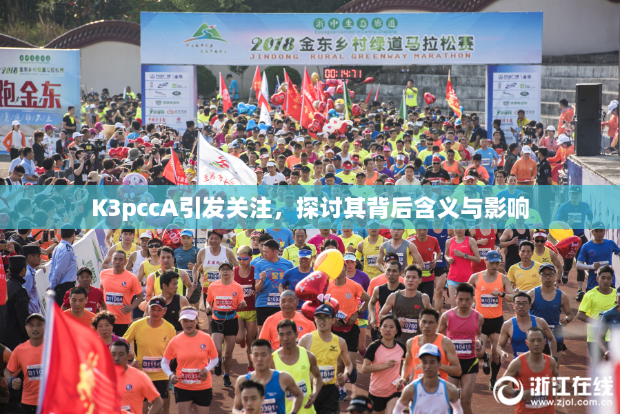 K3pccA引发关注，探讨其背后含义与影响