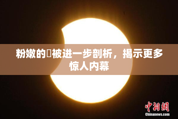 粉嫩的泬被进一步剖析，揭示更多惊人内幕