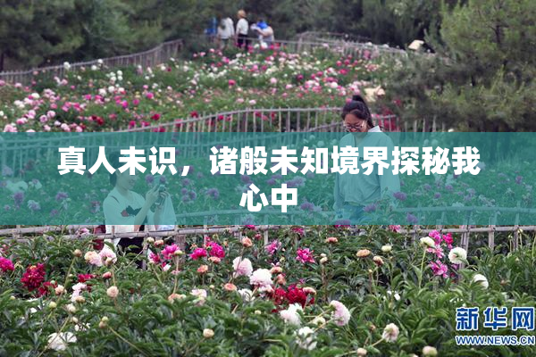 真人未识，诸般未知境界探秘我心中