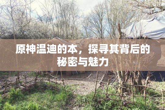 原神温迪的本，探寻其背后的秘密与魅力