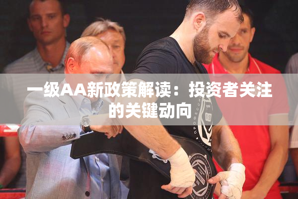 一级AA新政策解读：投资者关注的关键动向