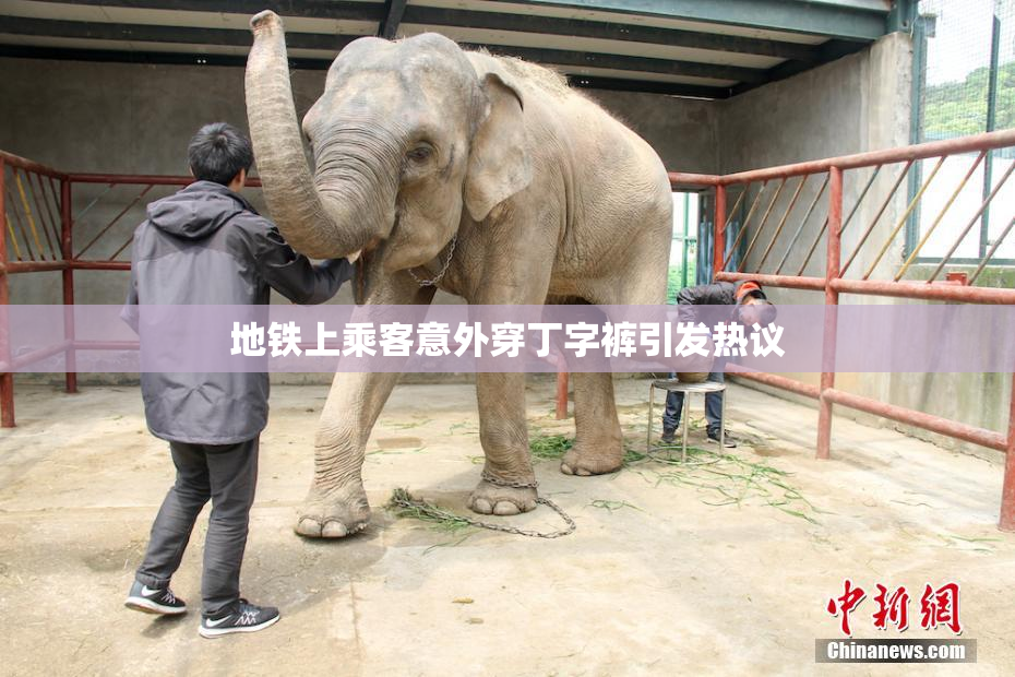 地铁上乘客意外穿丁字裤引发热议