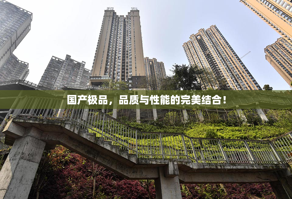 国产极品，品质与性能的完美结合！