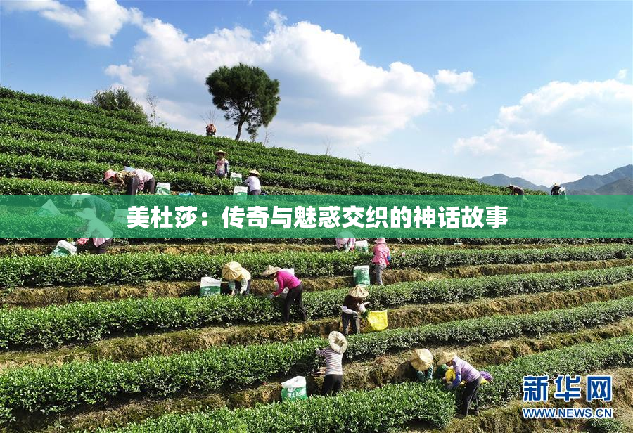 美杜莎：传奇与魅惑交织的神话故事