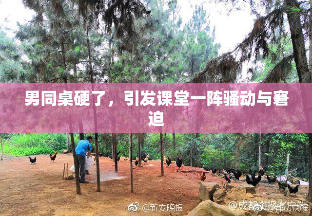男同桌硬了，引发课堂一阵骚动与窘迫