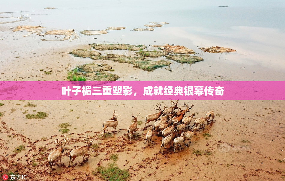 叶子楣三重塑影，成就经典银幕传奇