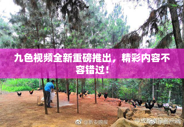 九色视频全新重磅推出，精彩内容不容错过！