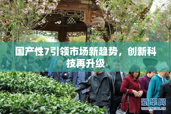 国产性7引领市场新趋势，创新科技再升级